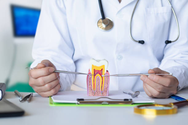 Best Emergency Denture Repair in Ashburn, VA